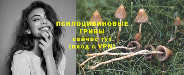 apvp Балабаново