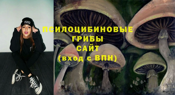 apvp Балабаново